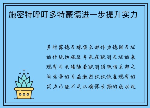 施密特呼吁多特蒙德进一步提升实力
