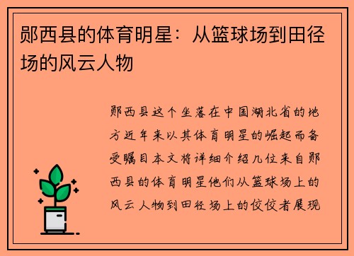 郧西县的体育明星：从篮球场到田径场的风云人物